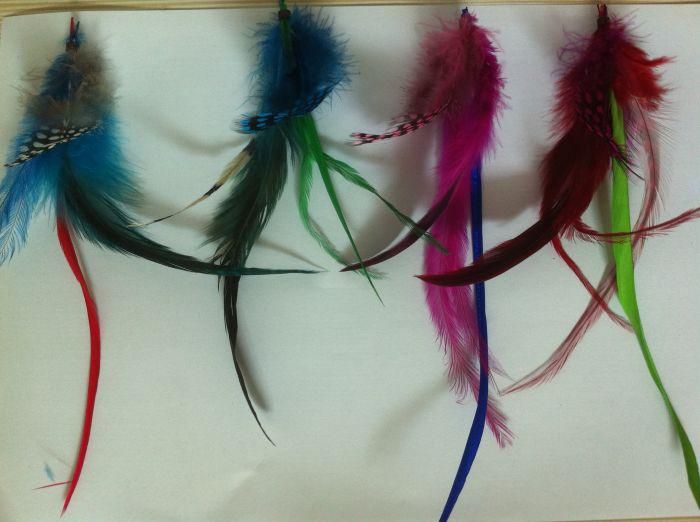 Fashion Real Natural Feathers Hair Extensions Feather Extension Free