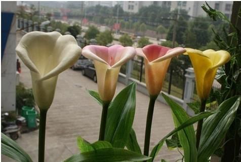 Solar Flower Light Garden Decorative Lighting LED Solar Light