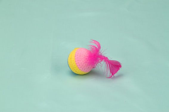 cat toy sponge balls