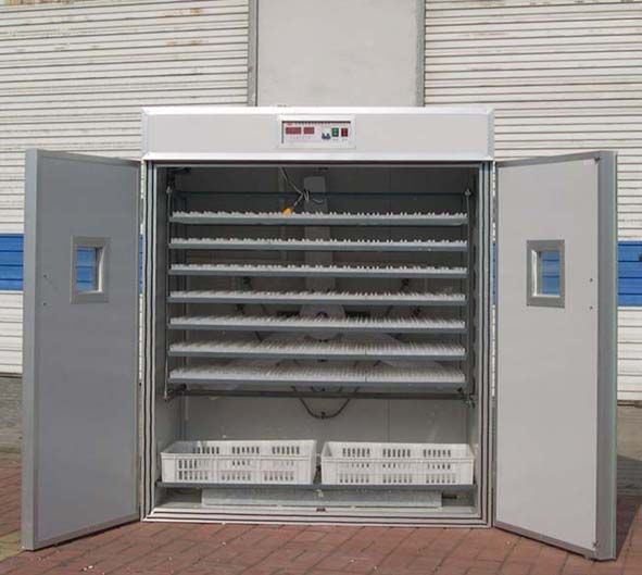 Egg Incubator