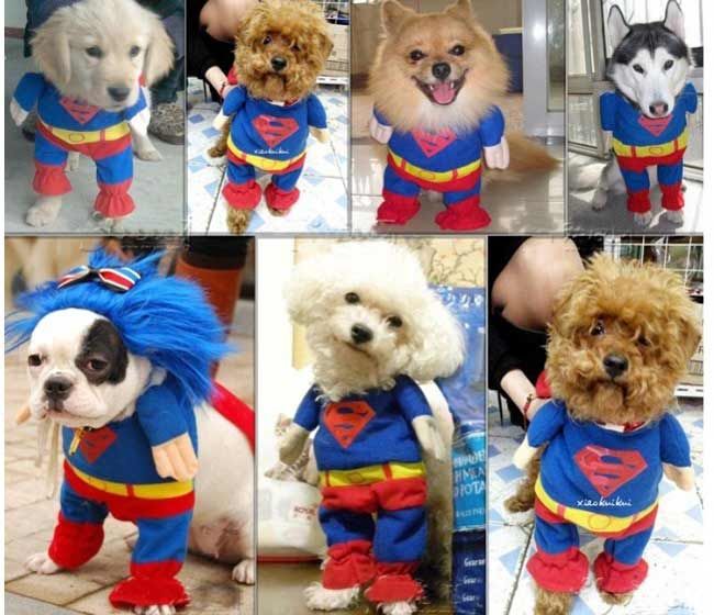 2017 Superman Pet Cat Dog Costume Party Clothes Cosplay fun Xs S M L