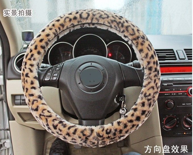 motif-l-opard-hiver-enjoliveurs-de-direc