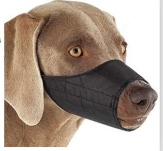 barking stop dog training biting puppy dogs tools muzzles petco