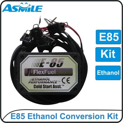 What are Flex Fuel conversion kits used for?