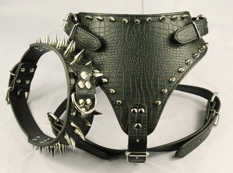 your are viewing your are viewing