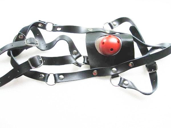 blindfold harness and ball gag blindfold harness and ball gag