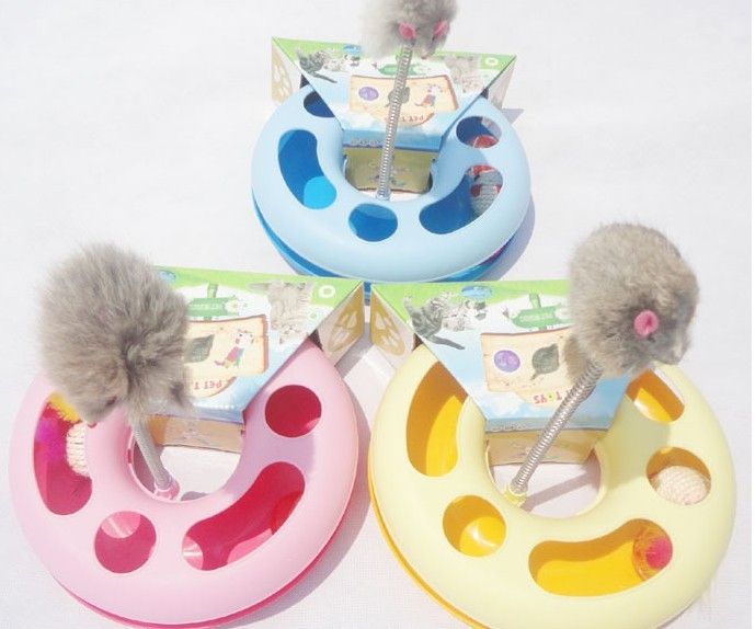 cat toy ball in circle