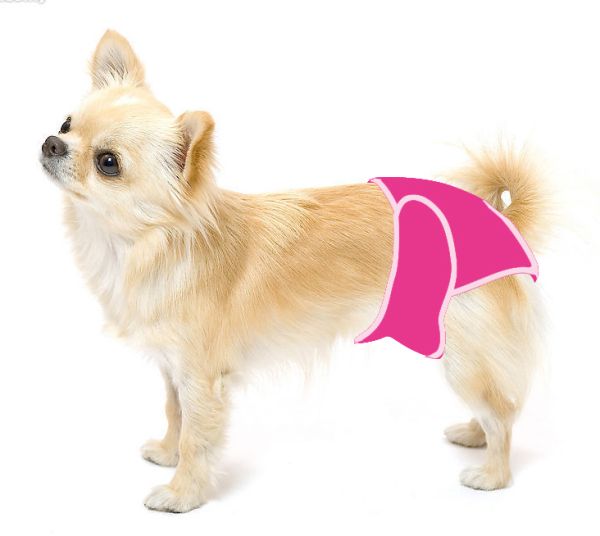 2018 ! Moq With Mixed Sizes, Female Dog Pant, Sanitary Dog Pants
