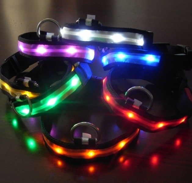 Dog Collar Lights Reviews Dog Collar Lights Reviews