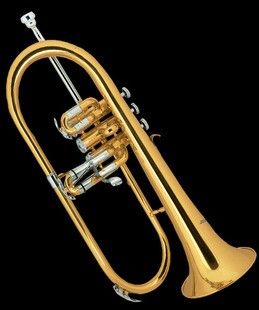 2017 jinbao jbfh 1150 flugelhorn from wuzeqing 286 44 dhgate 2017 jinbao jbfh 1150 flugelhorn from wuzeqing 286 44 dhgate