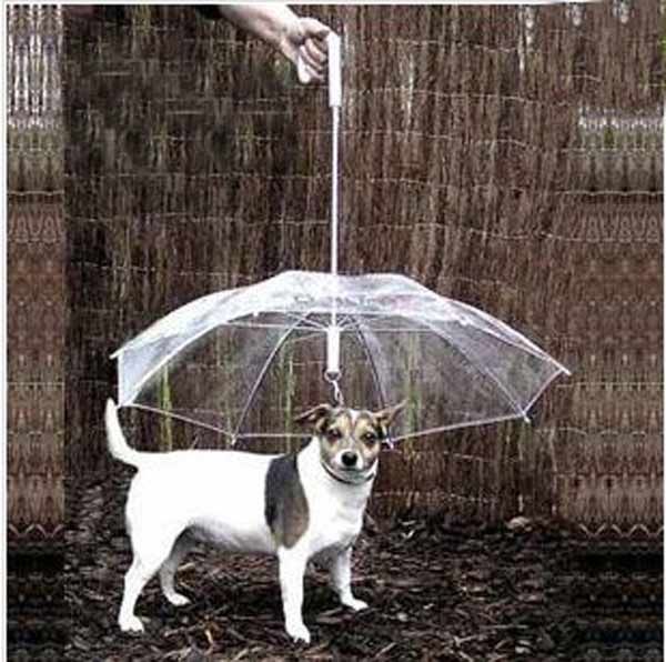 Pet Umbrella Dog Umbrella Pet Raincoat Dog Raincoat Zhuaizhu Dog Rope