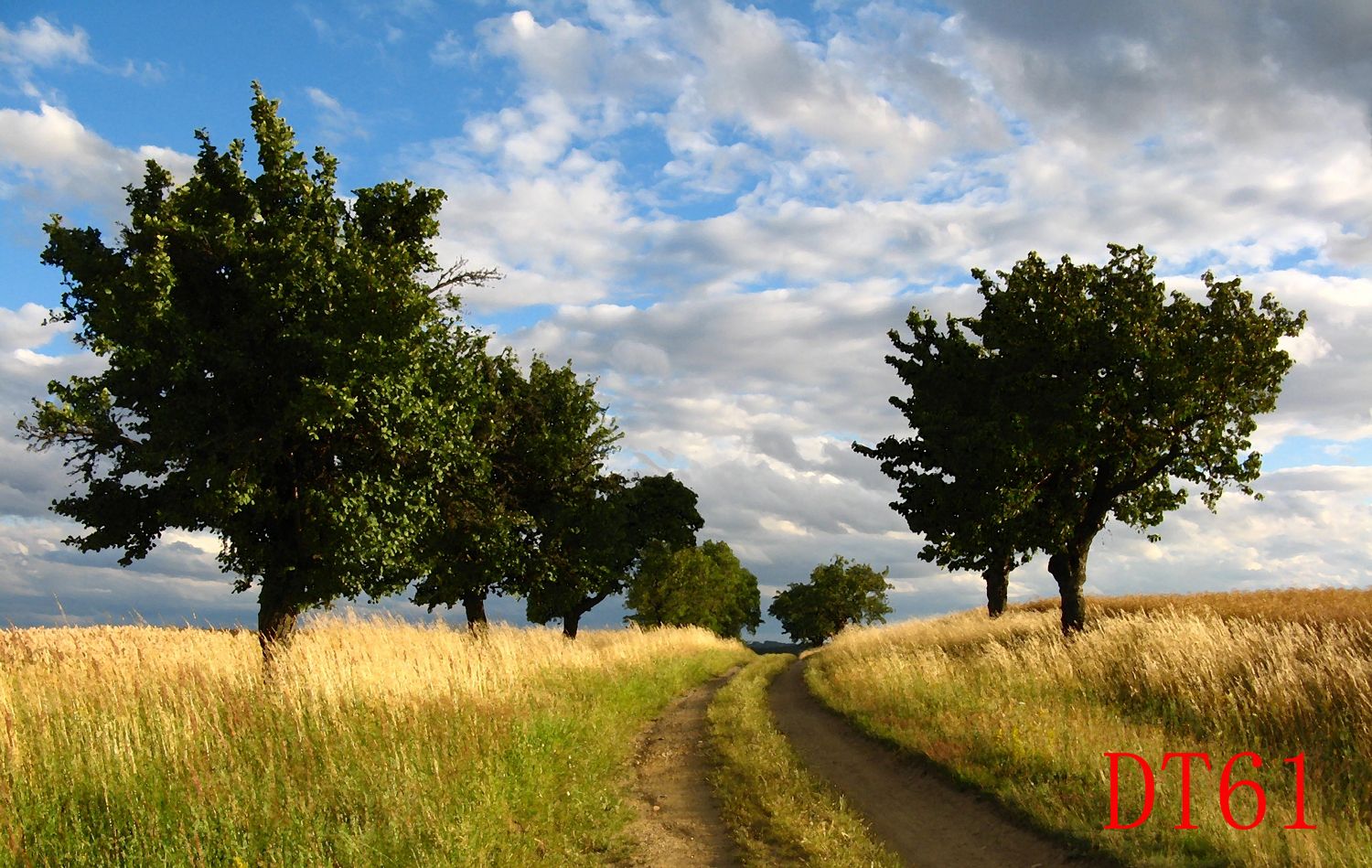 Scenery Wallpaper Scenic Outdoor Wallpaper