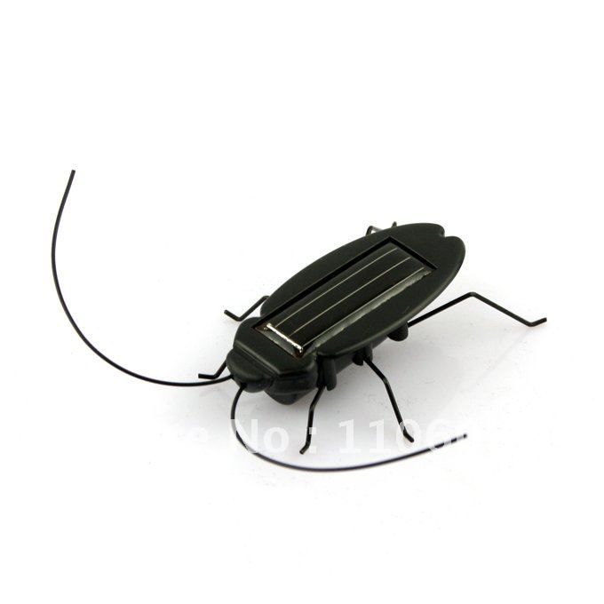 electronic insect toy