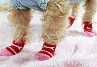 Free shipping mixed S M L color Fashion Design pet Dog Socks 40pcs/lot=10sets/lot Hot sales