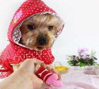 Free shipping mixed S M L color Fashion Design pet Dog Socks 40pcs/lot=10sets/lot Hot sales