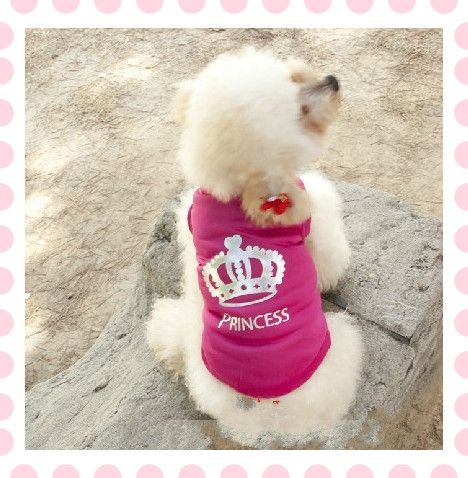 Discount Dog Clothes Store Discount Dog Clothes Store