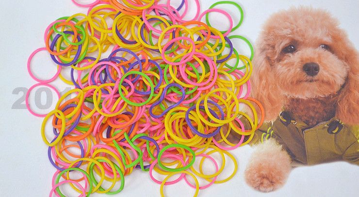 FREE SHIPPING !!100pcs/1bag/1LOT! Colorful Pet beauty supplies Pet Dog Grooming rubber band Pet hair product