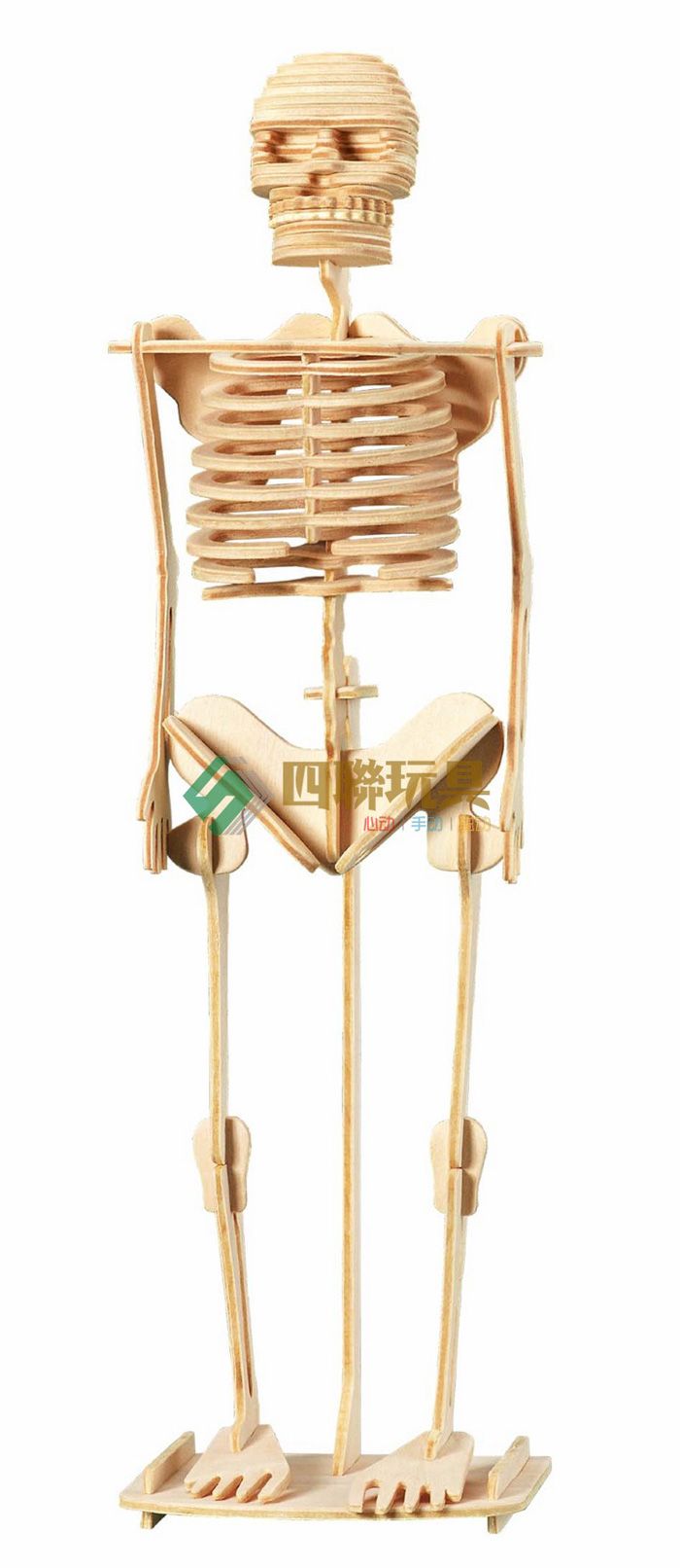 2017 Human Skeleton 3d Jigsaw Woodcraft Kit Wooden Puzzle Desktop