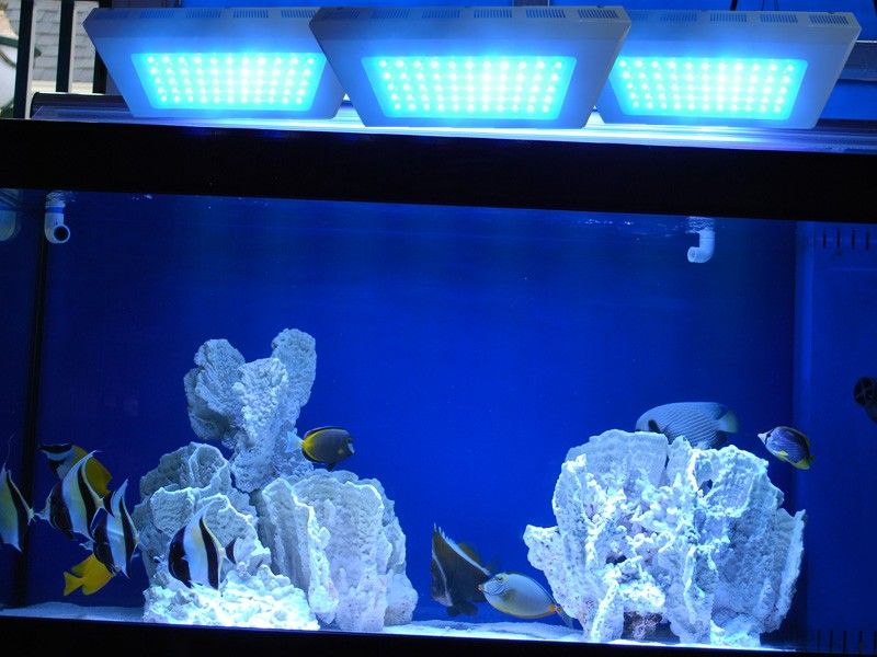 Wholesale Dimmable Led Aquarium Light 120w,Best Coral Reef,Fishing