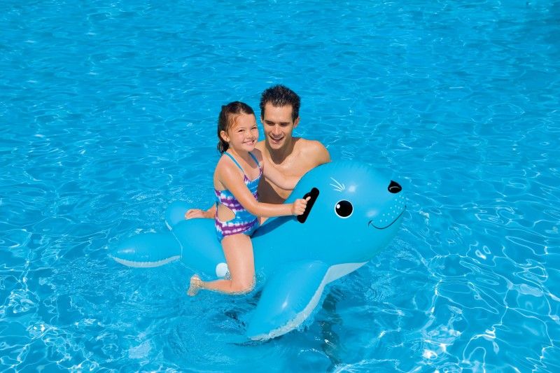 inflatable seal pool toy