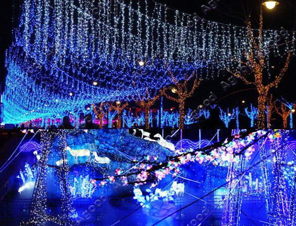 Wedding Decor Packages