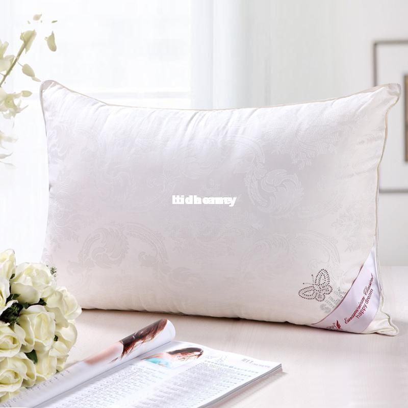 Wholesale Mulberry Silk Filled With Cotton Pillow Cover/Silk Pillow