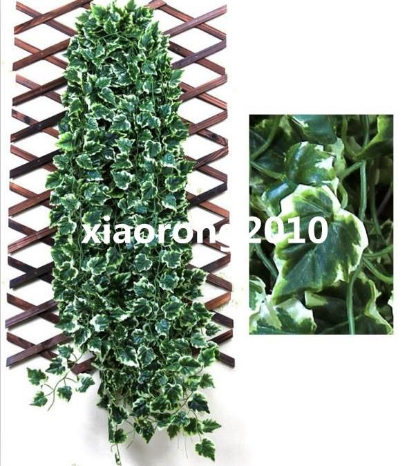 48Pcs 200cm/78.74" Length Artificial Silk Begonia Simulation Ivy Rattan Wall Flower Leaf Vine Green Plant Cane Home Decoration
48Pcs 200cm/78.74" Length Artificial Silk Begonia Simulation Ivy Rattan Wall Flower Leaf Vine Green Plant Cane Home Decoration