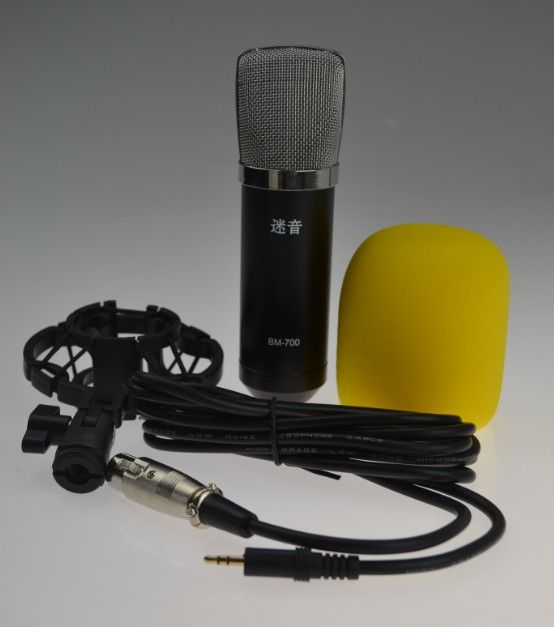 Hot Sale Professional Wired Microphone For Karaoke And Studio Recording