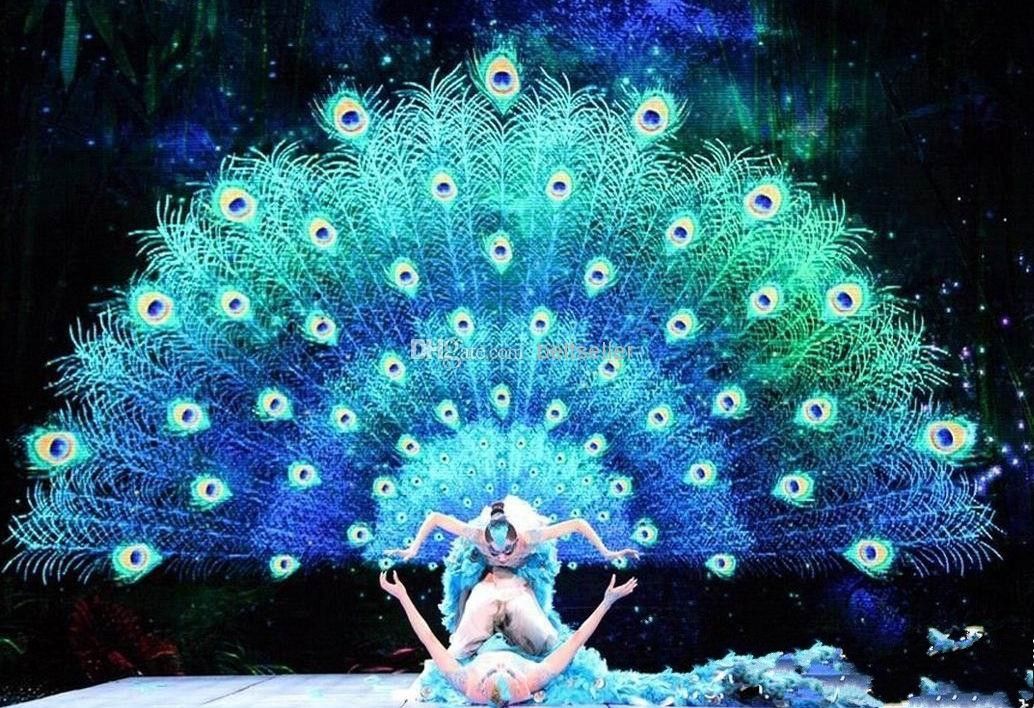 beautiful-real-natural-peacock-feather-peacock.jpg