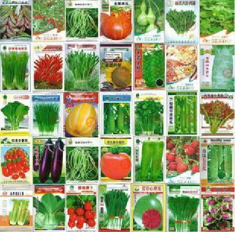 600 seeds wholesale and retail 30 kinds of different vegetable seed family potted balcony garden four seasons planting
600 seeds wholesale and retail 30 kinds of different vegetable seed family potted balcony garden four seasons planting