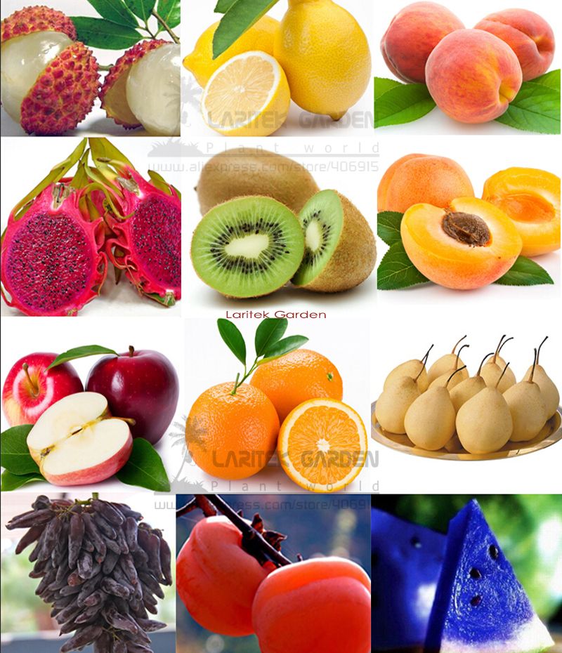 2017 260 Mix Fruits Combo Seeds, Very Popular Non Gmo Edible Fruits