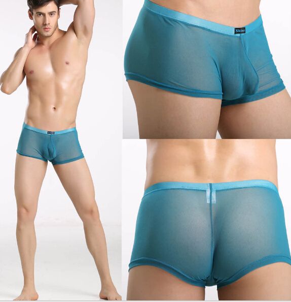 Super Thin Sheer Underwear Mens Sexy Mesh Gauze Lace Panties Gay Male See Through Shorts Silk