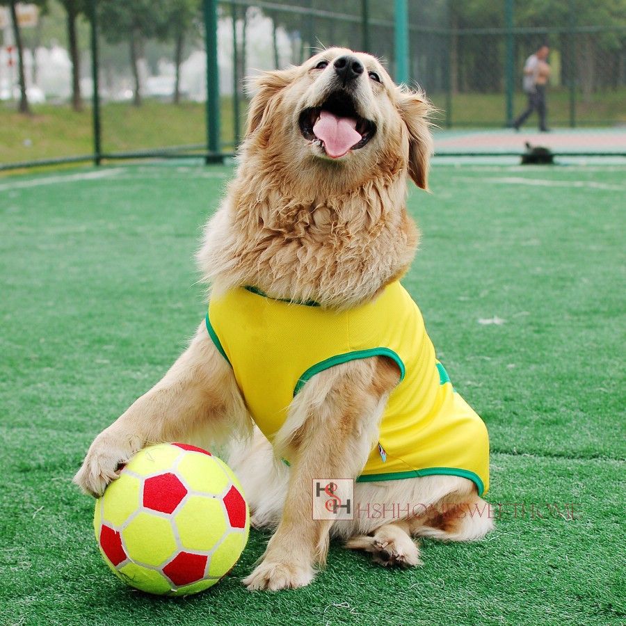 2017 High Quality Pet Soccer Ball 9.5tennis Ball Special Toy For Big