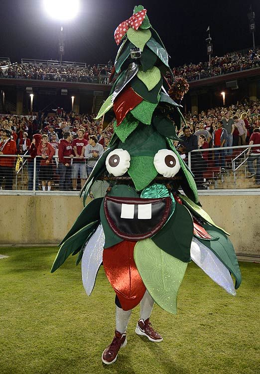 stanford cardinal mascot the tree college football mascot stanford cardinal mascot the tree college football mascot
