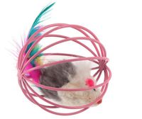 great pet supplies from DHgate