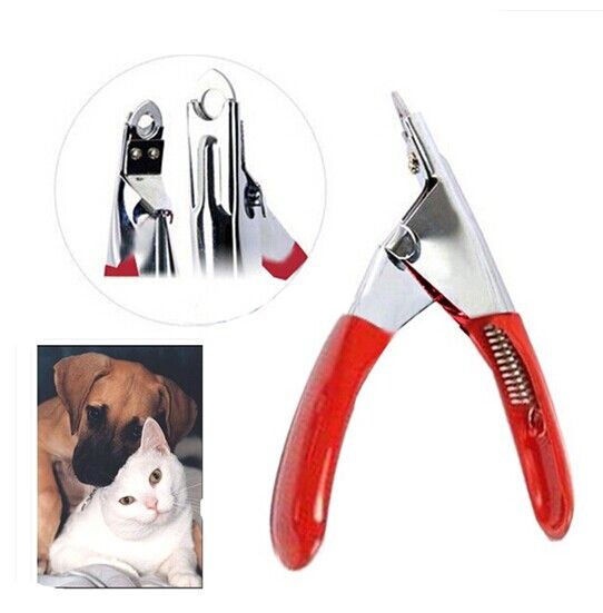 Cheap Dog Clippers For Sale Cheap Dog Clippers For Sale
