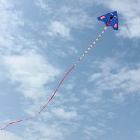 Where to Buy Outdoor Kites Online? Where 