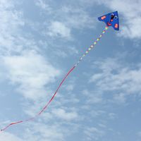 Where to Buy Outdoor Kites Online? Where 