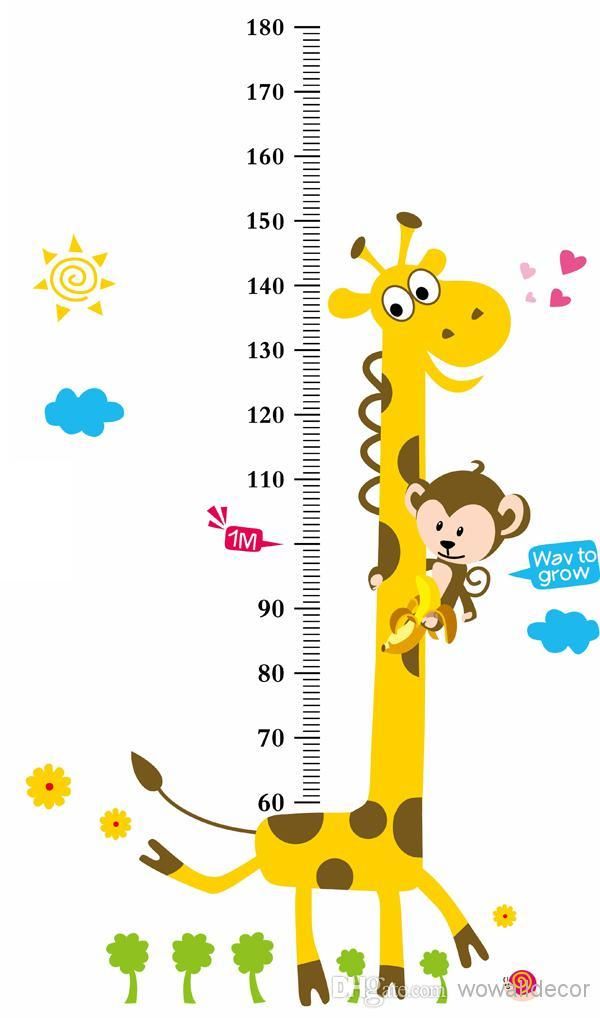 Growup Monkey Giraffe Animals Height Measurement Growth ...