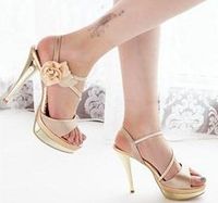 my sexy kittens 31