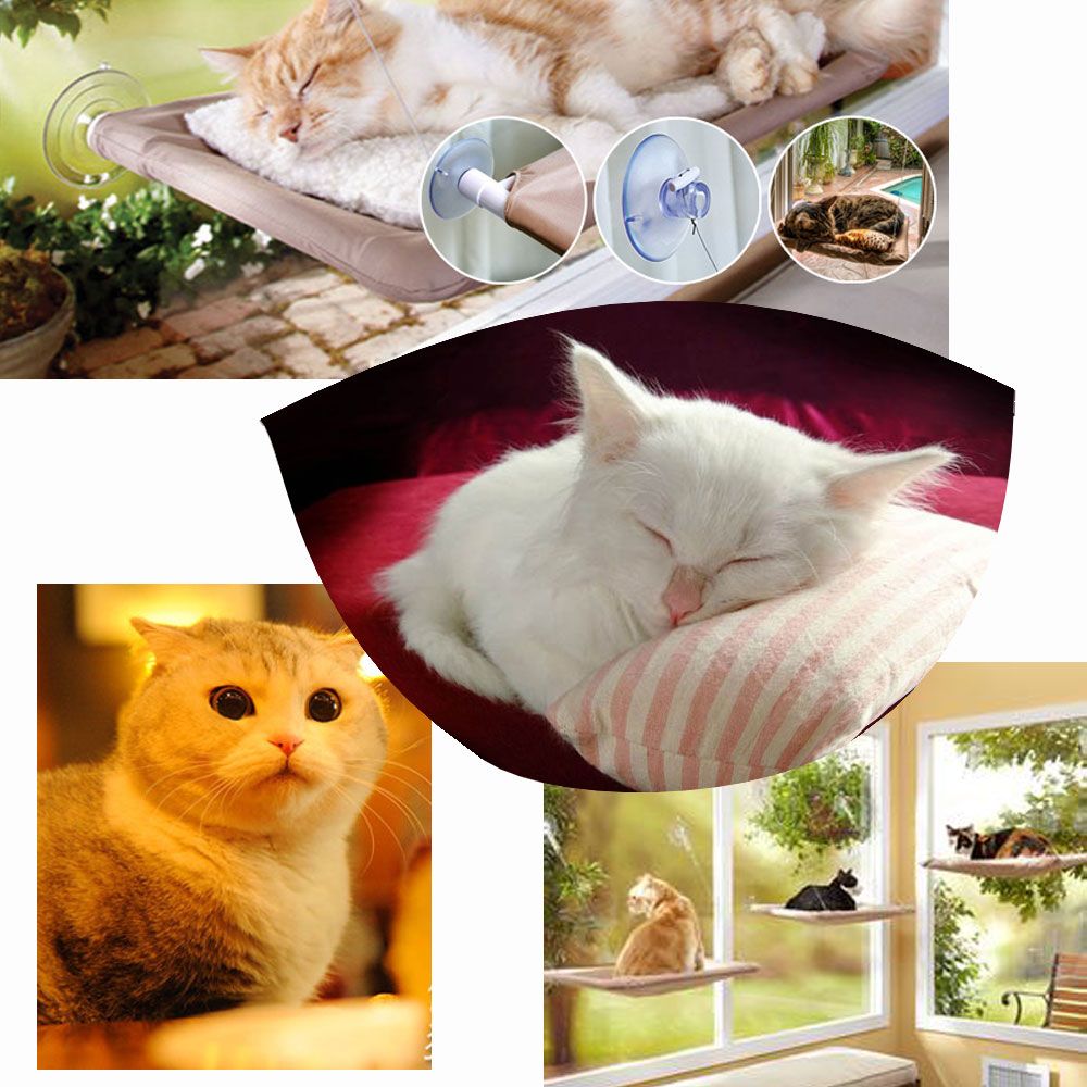 Best High Quality Cat Window Mounted Bed 22 * 12 Sunny Seat Pets