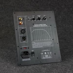 Amplificador 110/220V HIFI MONO 350W Subwoofer pesado Digital Active Power Amplificador Amplificador Pure Bass Professional Sistema de audio para el hogar