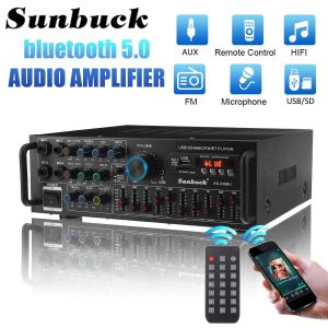 Amplificateur Sunbuck 3000W Amplificateur stéréo Bluetooth Sound Sound USB SD AMP FM DVD AUX LCD Affichage Home Cinema Karaoke Control