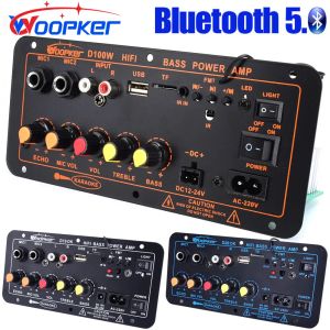 Amplificateur Woopker 300W Bluetooth Audio Amplificateur Board D100 Subwoofer Double Microphone Amp Module 12V 24V 220V Medie Player