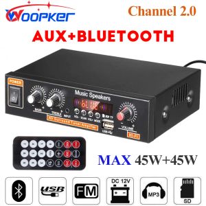 Amplificador Woopker Audio Amplificador 45WX2 Canal 2.0 Digital para un automóvil doméstico