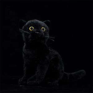 Animaux 23cm Real Life Cats en peluche Toy Soft Black Assis chat Toys Fary Farm Farm Animal Kitten Toys Gifts for Kids LJ201126