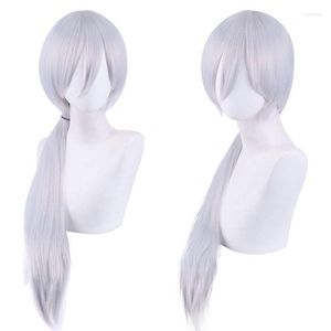 Costumes d'anime Man Manxi Wig Long Silver Grey Grey résistant à la chaleur Synthétique Hair Cosplay Wigs Caps