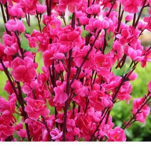 Artificielle cerise printemps prune pêche fleur branche soie fleur arbre pour la décoration de fête de mariage blanc rouge jaune rose 5 couleurs