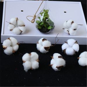 Kapok Artificial flores secas naturales simulación algodón boda decoración del hogar suministros DIY ramo de flores regalo