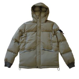 Chaqueta de algodón de nailon metálico para hombre de otoño e invierno, función de aislamiento cálido, viento, nueva ropa de algodón con capucha para parejas 44508